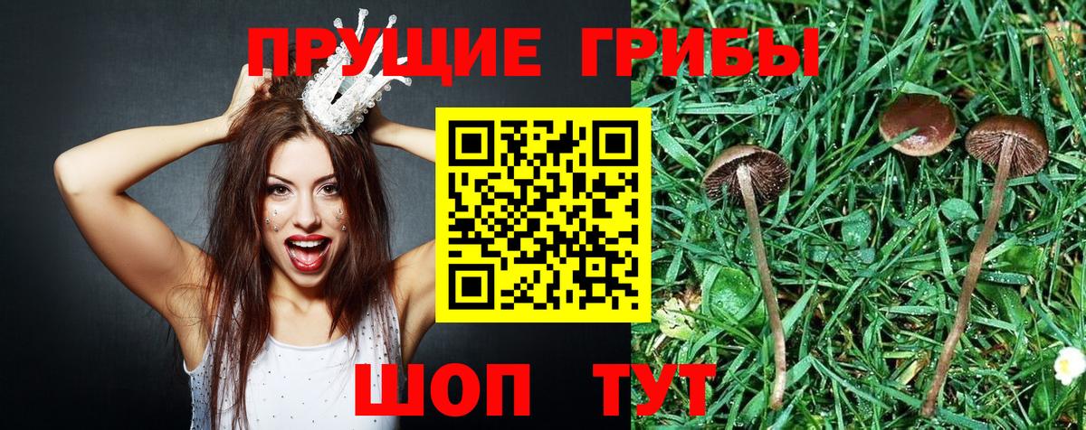 Псилоцибиновые грибы прущие грибы  Вход с VPN  Наро-Фоминск 