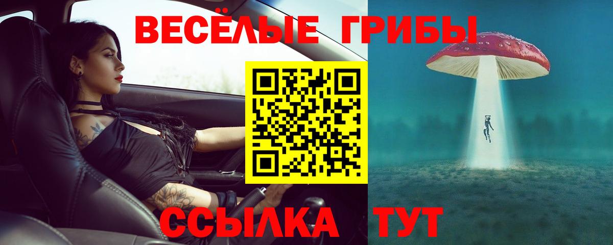 Галлюциногенные грибы Magic Shrooms Наро-Фоминск